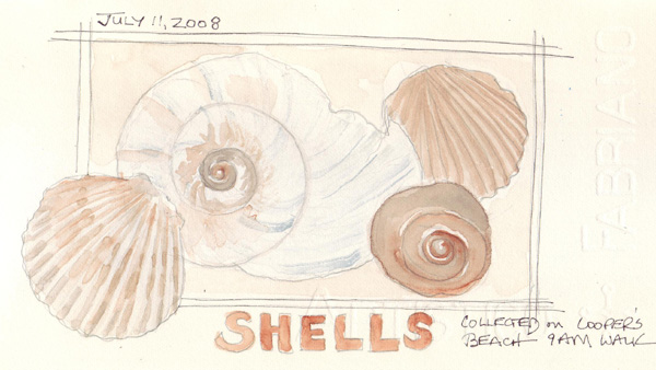 Shells1.jpg