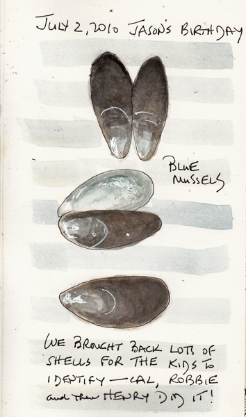 Shells2010BSIZE.jpg