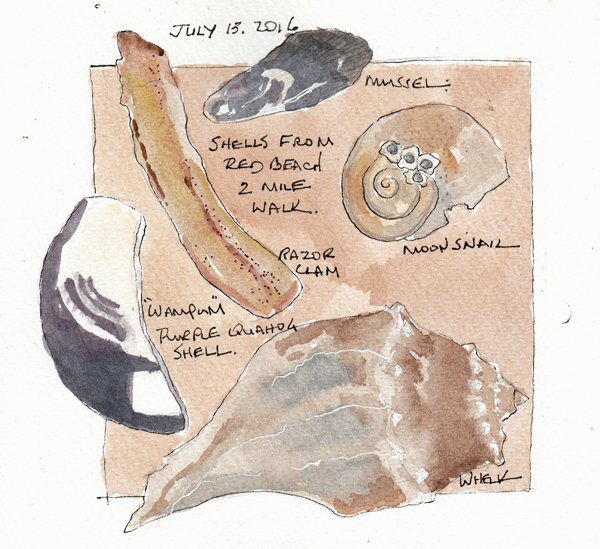 ShellsofAcquinah2016SIZE.jpg