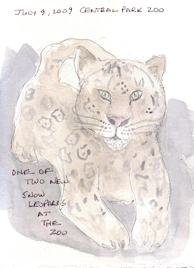 SnowLeopard.jpg