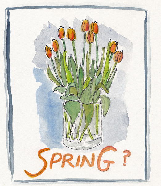 SpringTulips.size.jpg