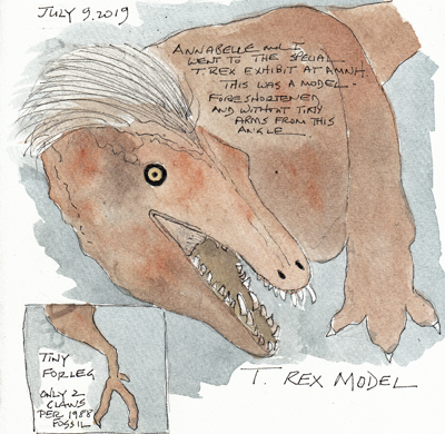 TRexAMNHSIZE.jpg
