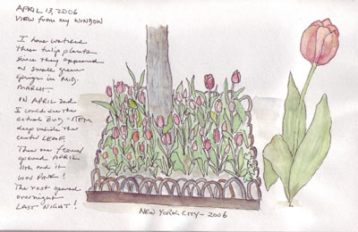Tulips.planter.size.jpg