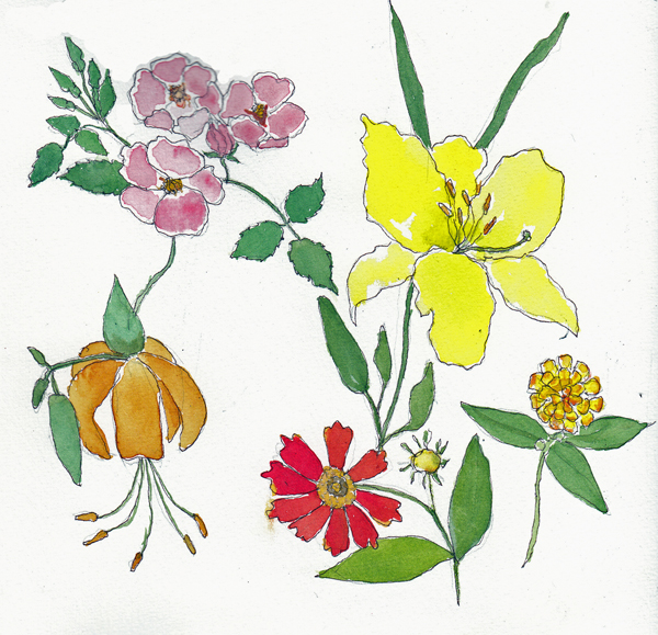 WagnerFlowersJuly5SIZE.jpg