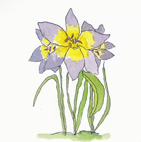 WagnerMay2SIZE.jpg