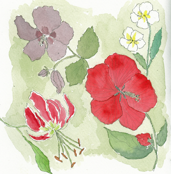 WagnerParkJuly24SIZE.jpg